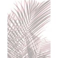 thumbnail image 2 of Miller, Melonie 19x24 Black Ornate Wood Framed with Double Matting Museum Art Print Titled - Palm Shadows Blush II, 2 of 4