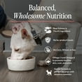 thumbnail image 4 of CUDDLY Dry Dog Food, Salmon and Rice, 5 lb Bag, 4 of 10
