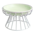 thumbnail image 2 of Elevated Cat Feeder Bowl Ceramic Dish Iron Rack Anti Slip Multipurpose Accessory D, 2 of 9