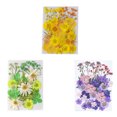 thumbnail image 4 of Matsuzay Flores secas naturales Artísticas Flores prensadas Belleza Joyas Decoraciones Postales decorativas Regalos para tarjetas de boda de resina Flores artificiales Typ 2 Matsuzay HA010799-02, 4 of 6