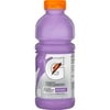 Gatorade Frost Rain Berry Thirst Quencher Sports Drink, 20 fl oz, 1 Count Bottle