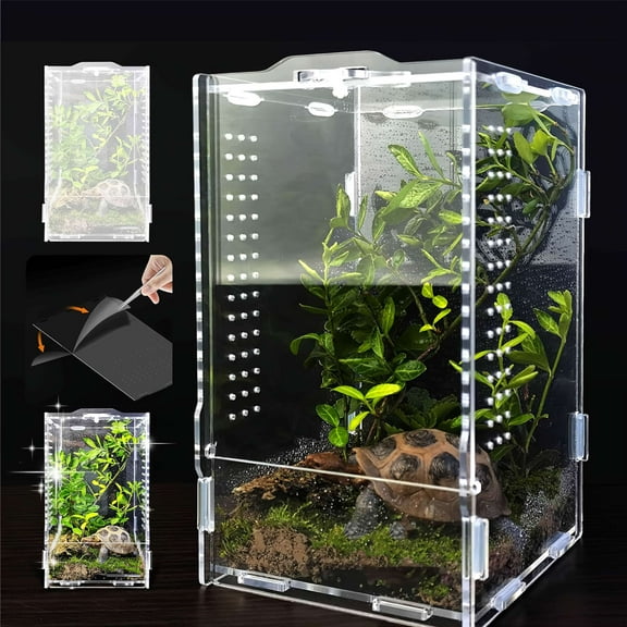 Acrylic Jumping Spider Habitat & Insect Terrarium - Enclosures for Praying Mantises, Frogs & Small Bugs