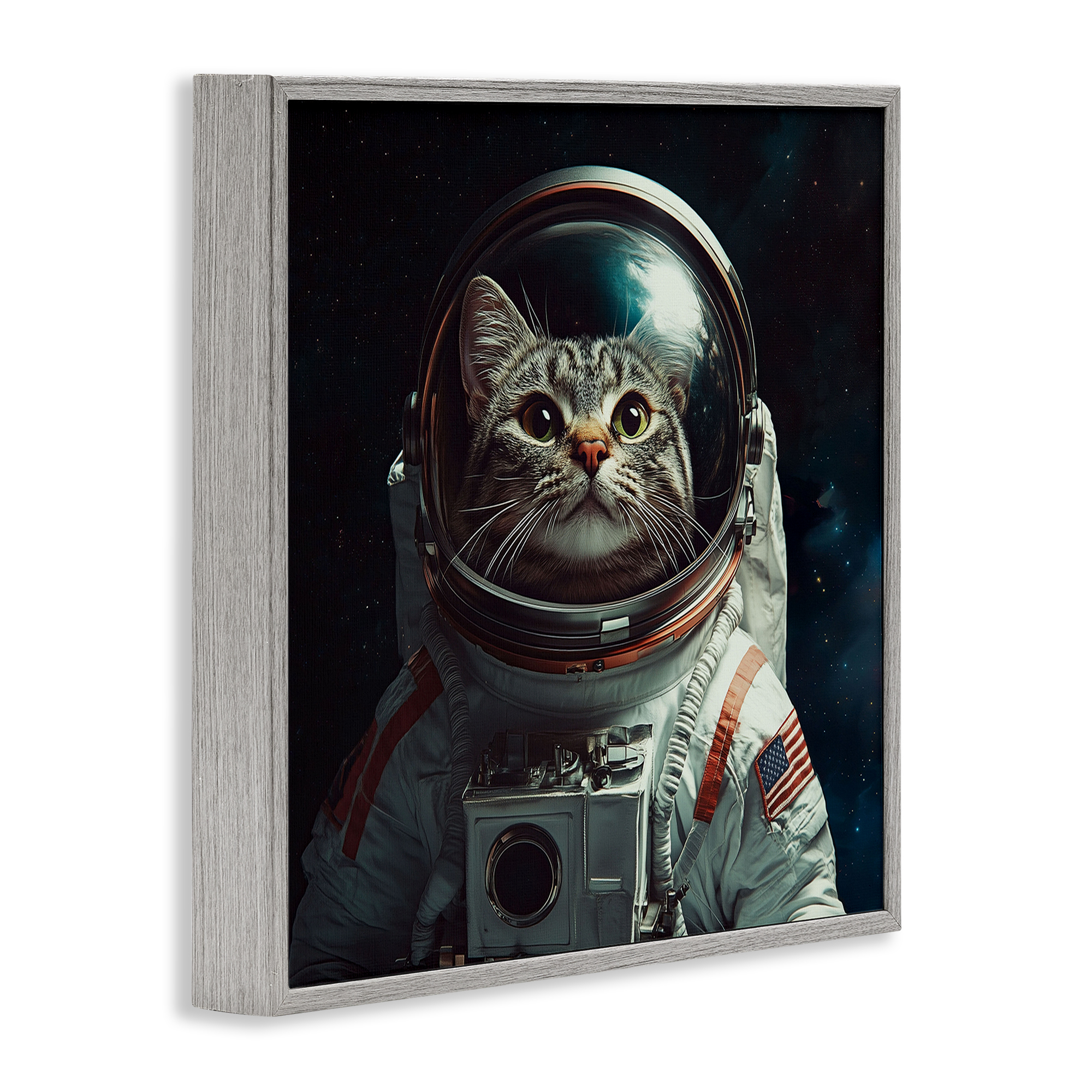 Catstronaut Cat Astronaut Gray Framed Giclee Art, design by Jim Baldwin