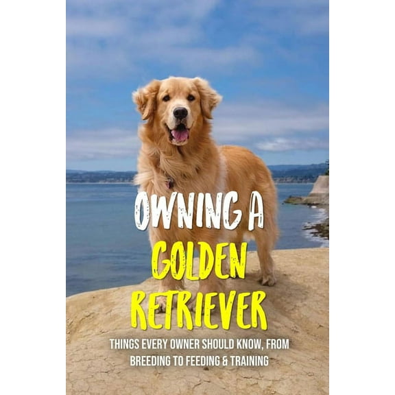 Owning A Golden Retriever: Things Every Owner Should Know, From Breeding To Feeding & Training: The (Paperback) by Errol Schleider