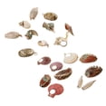 thumbnail image 2 of Cuentas de concha de mar Phenovo para Bricolaje y fabricación de joyas Oro de playa, 2 of 7