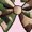 Beige, variant on Hello Hunting Season Goodbye Husband Embroidery File Antler Bow Deer Hunting Design Funny Fall Autumn Stitch Pattern for Husbands