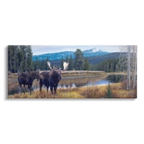 Stupell Industries Moose in River Mountain Scene Animals & Insects Painting Gallery Wrapped Canvas Print Wall Art