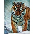 thumbnail image 2 of Aldridge, Ashley 12x14 White Modern Wood Framed Museum Art Print Titled - Siberian Tiger Stalking, 2 of 4