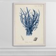 thumbnail image 4 of Wexford Home Antique Coral in Navy V-Framed Canvas - White - 22X30, 4 of 4