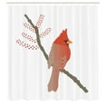 thumbnail image 2 of Ambesonne Cardinal Shower Curtain, Bird on Branch Plain Back, 69"Wx84"L, Burnt Orange and Sepia, 2 of 4