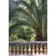 thumbnail image 3 of Crane, Rita 18x24 Black Modern Framed Museum Art Print Titled - Palace Garden Palms II, 3 of 5