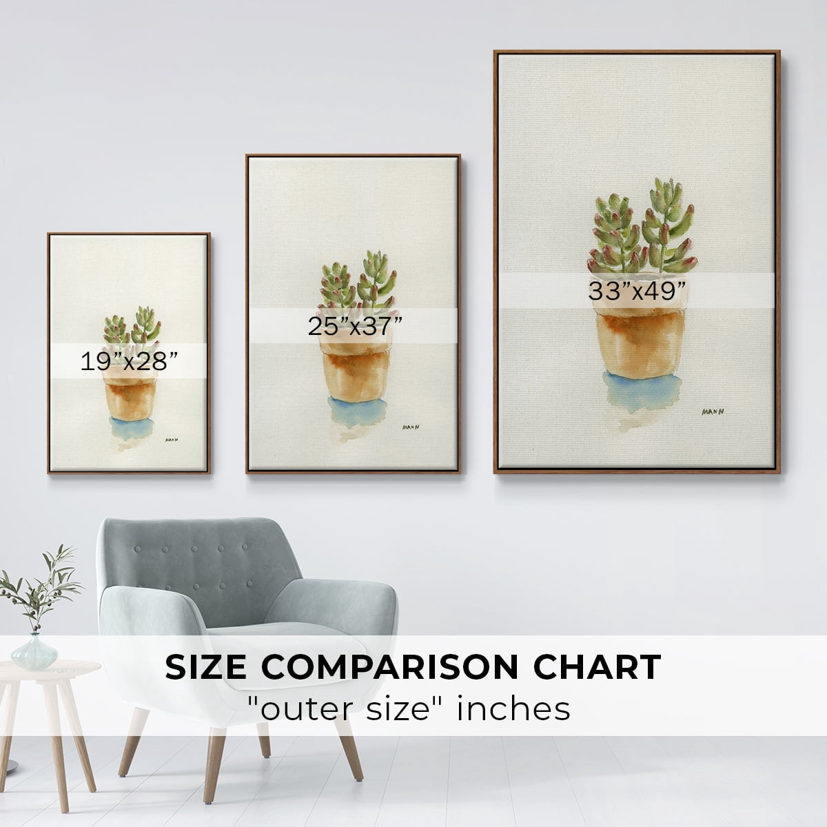 Succulent III Framed Premium Gallery Wrapped Canvas - Ready to Hang - 17 x 25 - Walnut Floating Frame