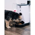 thumbnail image 3 of Wifi Pet Feeder, 3 of 4