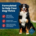 thumbnail image 5 of Blue Buffalo Life Protection Formula Natural Dry Dog Food, Beef & Brown Rice, 34-lb. Bag, 5 of 12