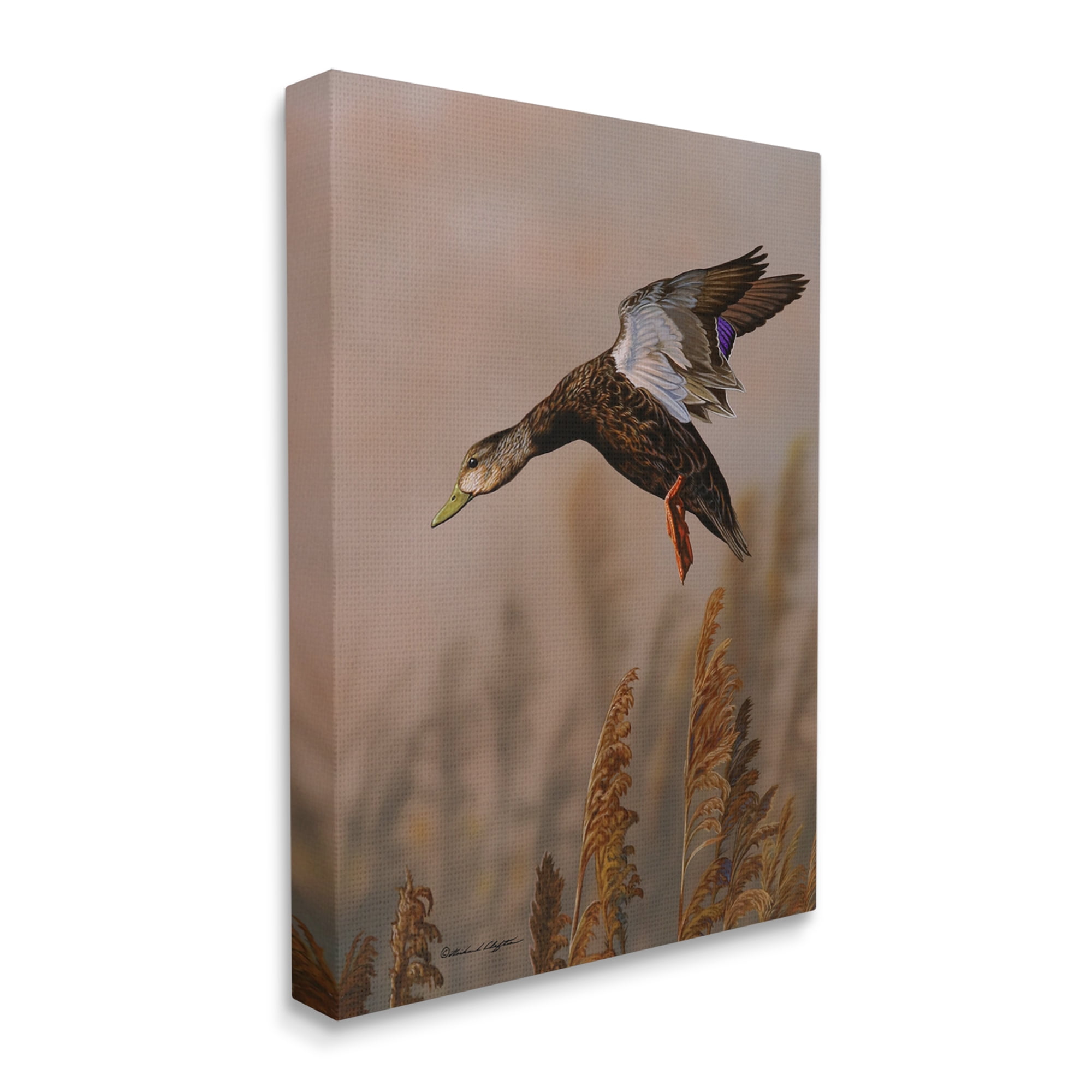 Stupell Industries Duck Flying Photography Animals & Insects Photography Gallery Wrapped Canvas Print Wall Art, 24 x 30