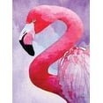 thumbnail image 2 of Meyer, Jill 12x14 Gold Ornate Wood Framed with Double Matting Museum Art Print Titled - Amazing Flamingos III, 2 of 4