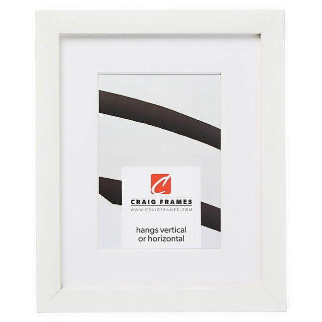 Craig Frames Confetti, 14 x 20 Inch Modern White Picture Frame Matted to Display a 11 x 17 Inch Photo