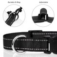 thumbnail image 3 of Collar para perro TagMe de nailon reflectante ajustable clásico, 3 of 7