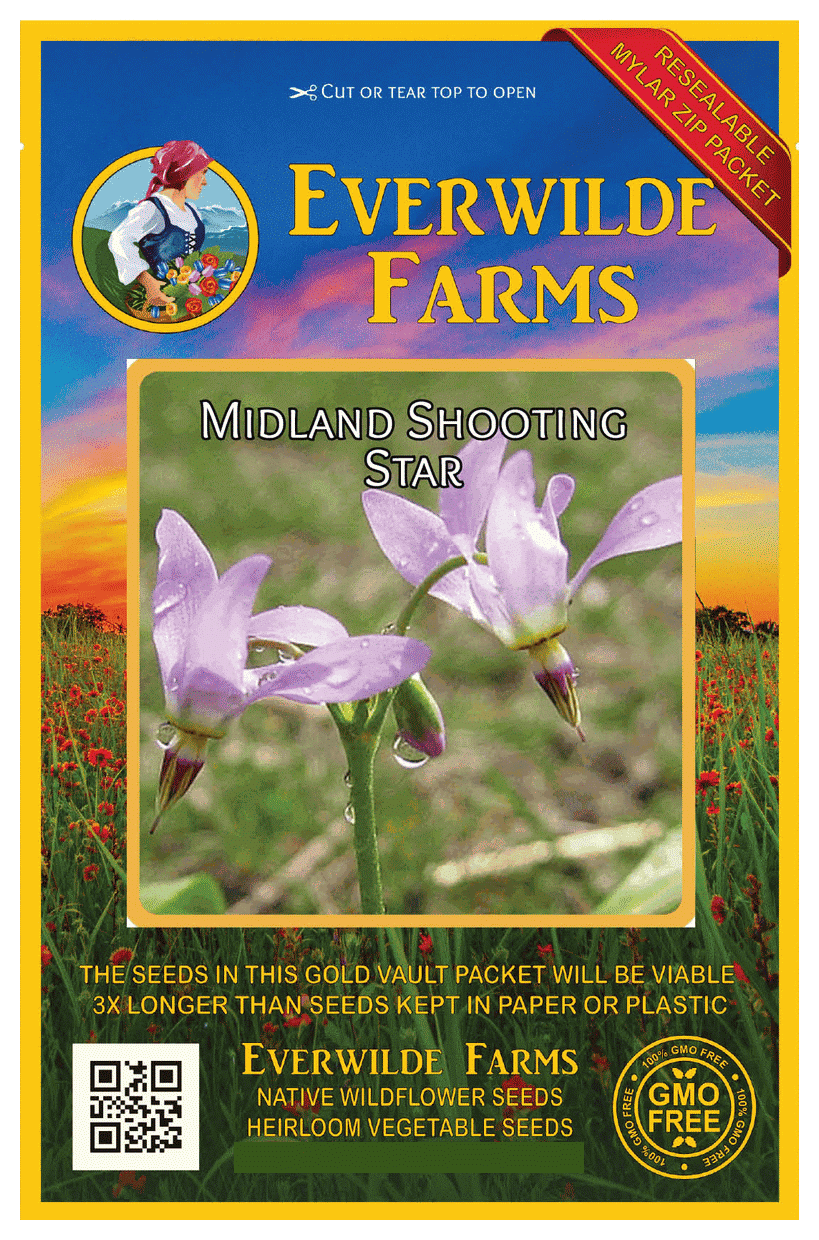 Everwilde Farms 300 Midland Shooting Star Native Wildflower Seeds