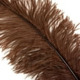 thumbnail image 3 of 18-24" (46-61 cm) 1/4 lb Natural Brown Feather Wedding Centerpiece Decor - Spads, 3 of 4
