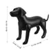 thumbnail image 2 of NUOLUX Maniquí Inflable Para Ropa De Mascotas Color Negro Con Duradero Para Exhibición En Tiendas, 2 of 8