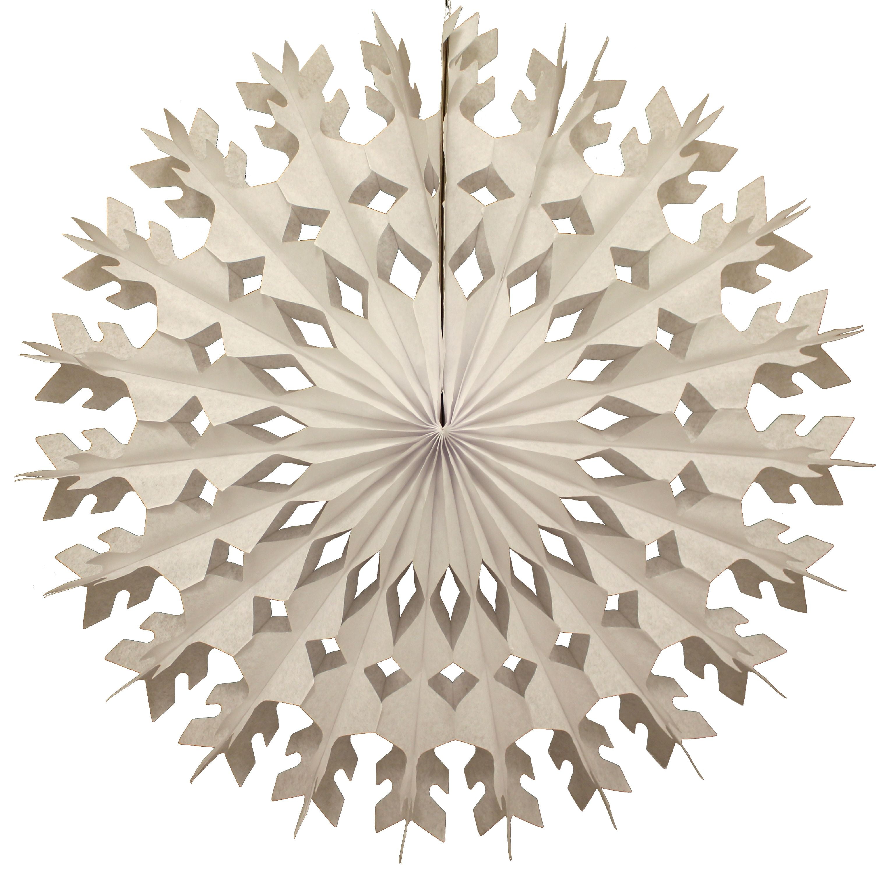 Snowflake Paper Cutouts (80) with Idea Guide