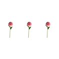 thumbnail image 2 of Baohd 1/2/3/5 10pack/lot Realistic Appearance Artificial Flower For Party Decor And Home Decor Coffee 3PCS, 2 of 6