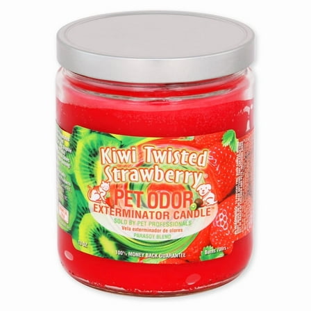 Pet Odor Exterminator 13 Ounce Jar Candle, Kiwi Twisted Strawberry