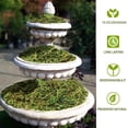 thumbnail image 3 of ZYAPA 10OZ Fake Moss Artificial Moss for Potted Plants Greenery MossHome Decor Fairy Garden Crafts Wedding Decoration (Fresh Green), 3 of 6
