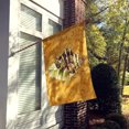 thumbnail image 2 of Carolines Treasures 8658CHF Shell Flag Canvas House Size, 2 of 4