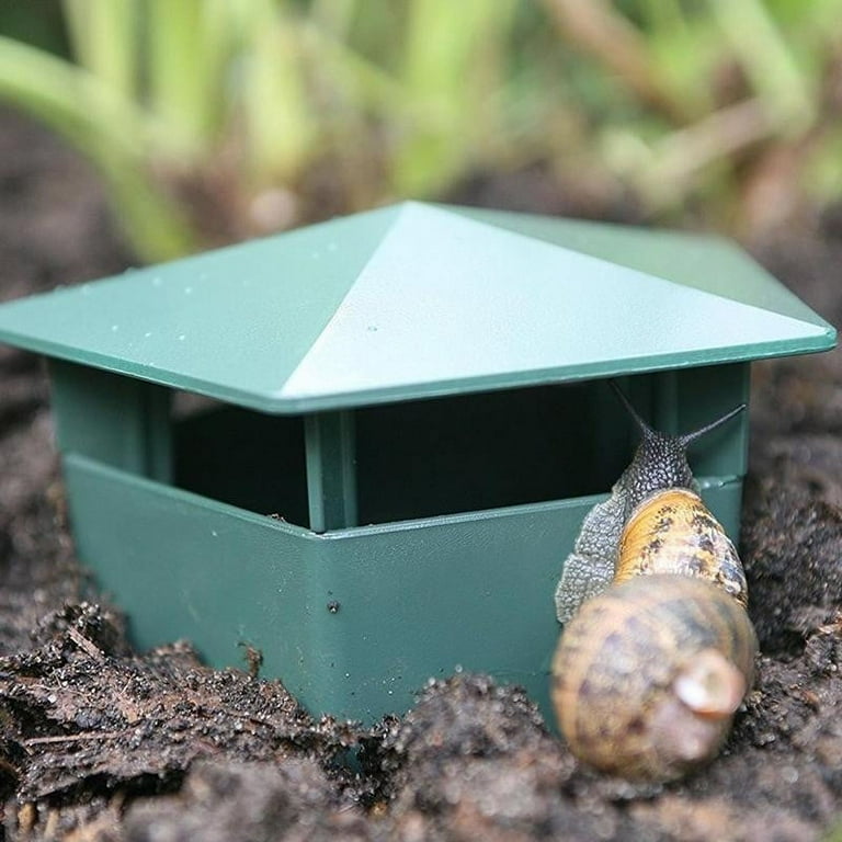 HELLOS ヘロス Snail Shelter(Charcoal Green) Snail Habitat, Snail Home, Natural Environment, Warm and
