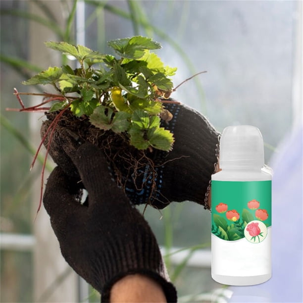 Solución nutritiva para plantas y flores verdes en macetas | Fertilizante líquido potenciador del crecimiento | Promueve un follaje saludable y flores vibrantes | Alimento Vegetal Concentrado |