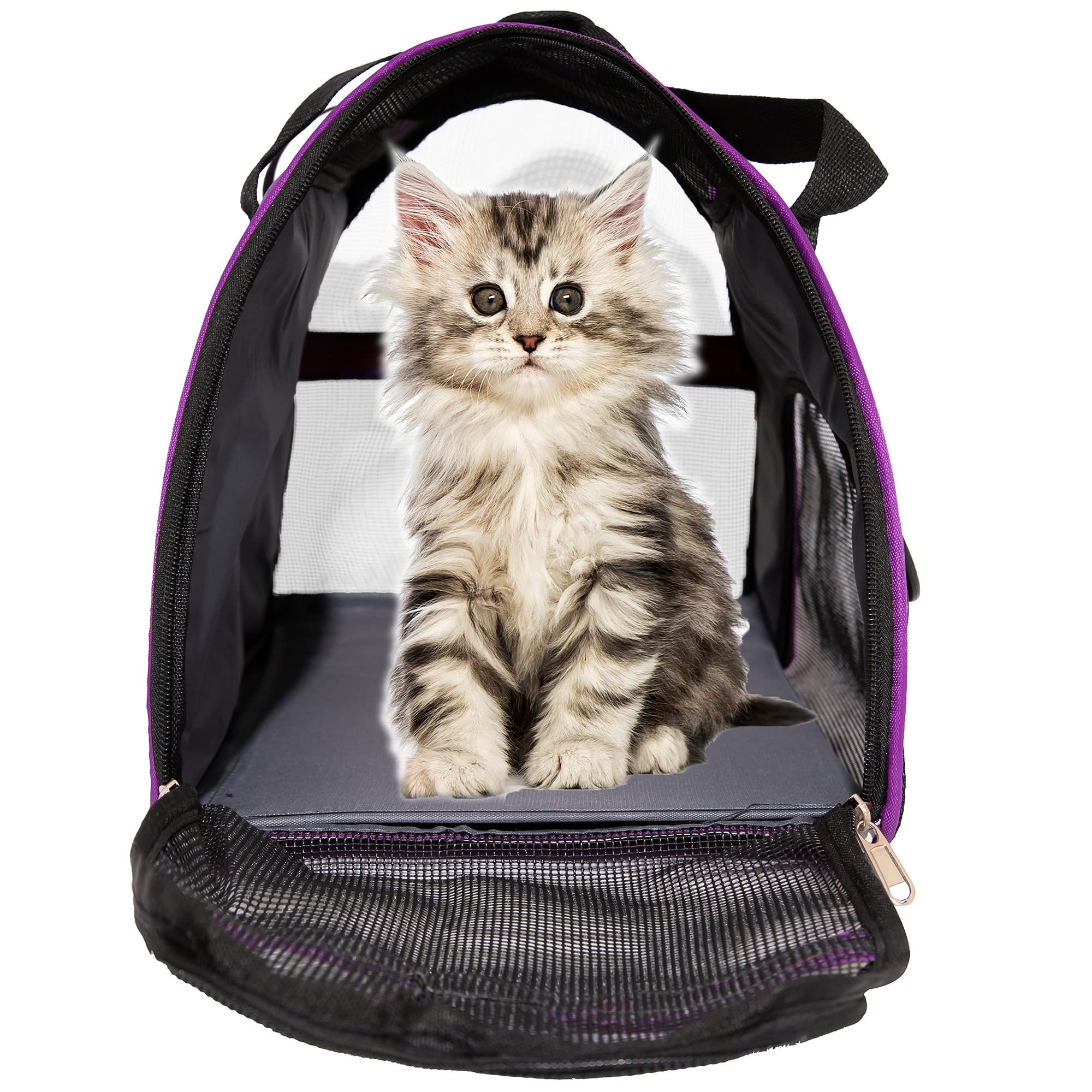 Cheap cat carriers walmart hotsell
