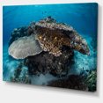 thumbnail image 2 of Coraux et Poissons dans le Parc National de Komodo - Impression sur Toile de Bord de Mer, 2 of 4