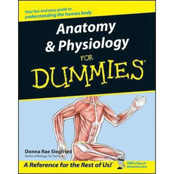 Pre-Owned Anatomy & Physiology for Dummies (Paperback) 0764554220 9780764554223