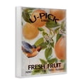 thumbnail image 2 of Stupell Industries Cottage U-Pick Fresh Fruit Farm White Framed Giclee Art, 24 x 30, by Diannart, 2 of 8