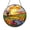 Acrylic 3.5 Inch, variant on Larkspur Flower Windmill Suncatcher Hanging for Window, Rural Landscape Faux Stained Glass Decor