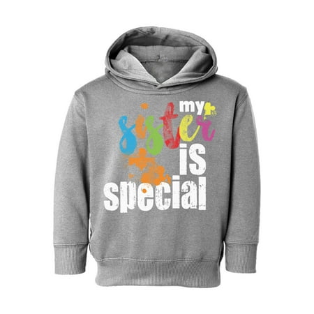 

Awkward Styles Kid s Autism Toddler Hoodie for Girls My Sister Is Special Hooded Sweatshirt for Boys