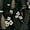 Color 2, variant on Peel and Stick Wallpaper Beige Botanical Floral Black Jungle Foliage Tropical Wall Mural 17.7in x 9.8ft Self Adhesive Removable Wall Paper Renter Friendly Wallpaper for Nursery Bedroom Cabinets