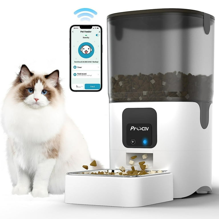 Daily cat feeder online