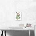 thumbnail image 2 of ARTCANVAS Ruff Necked Hummingbird Canvas Art Print by John James Audubon - Size: 12" x 8" (0.75" Deep), 2 of 9