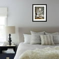 thumbnail image 6 of Audubon Gull, Animals Framed Art Print Wall Art by John James Audubon Sold by Art.Com, 6 of 6