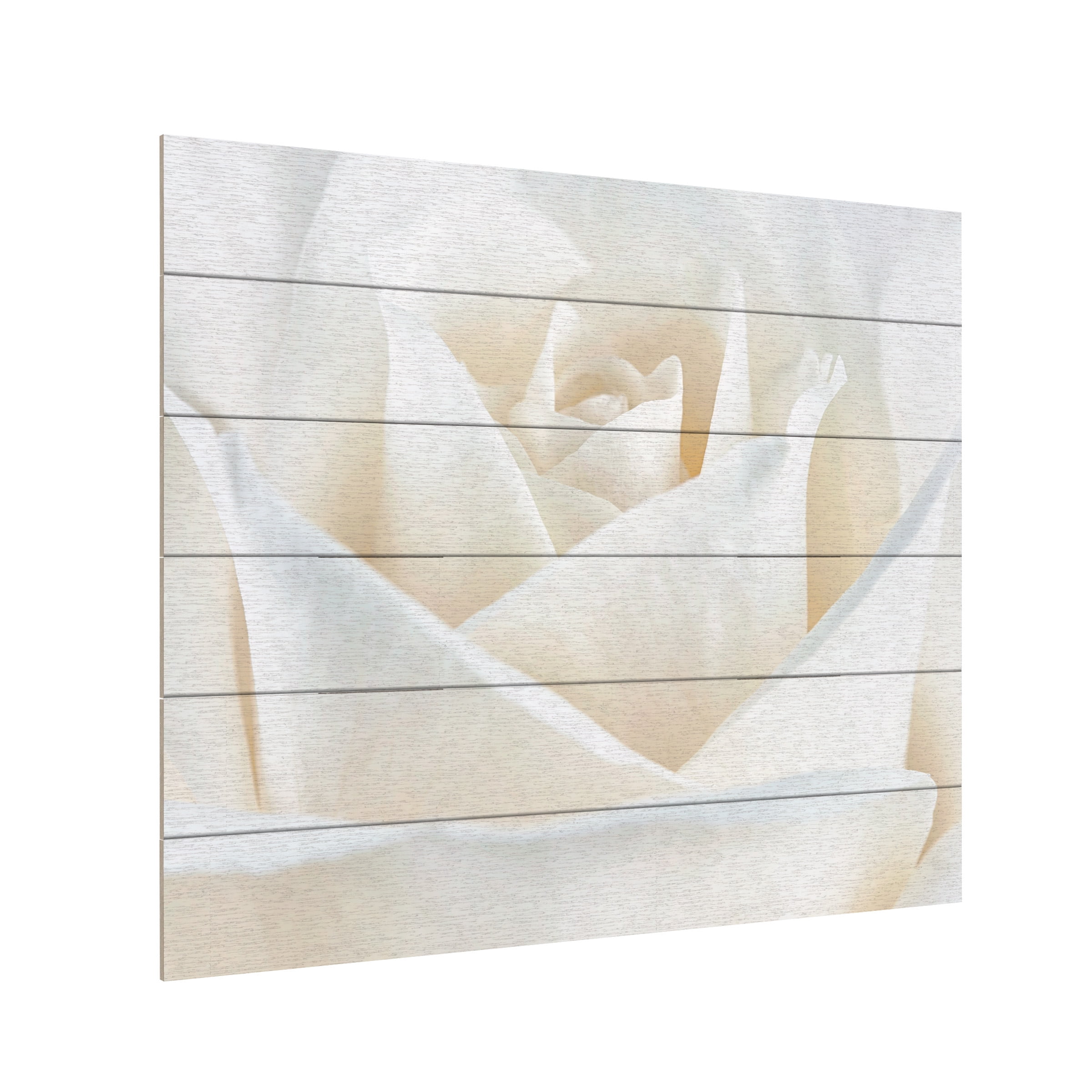 Trademark Fine Art 'Pure White Rose' Wooden Wall Art Art by Cora Niele