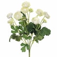 thumbnail image 2 of FBR995-CR 13 in. Cream Mini Ranunculus Bush X5- Case of 12, 2 of 3