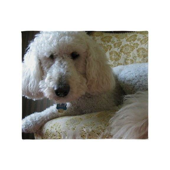 CafePress - Goldendoodle Throw Blanket - Soft Fleece Throw Blanket, 50"x60" for All Ages
