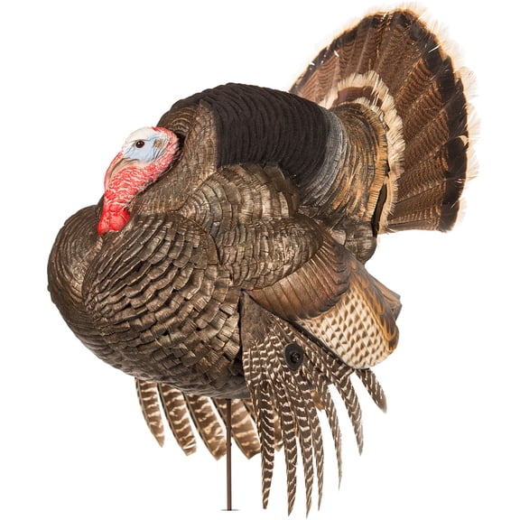 Dave Smith Decoys DSD Strutter Gobbler Turkey Decoy
