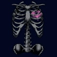 thumbnail image 2 of Men's Lost Gods Halloween Skeleton Rib Cage Heart  Graphic Tee Navy Blue 3X Large, 2 of 5