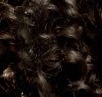 Garnier Nutrisse Nourishing Color Foam 4 Dark Brown One Application