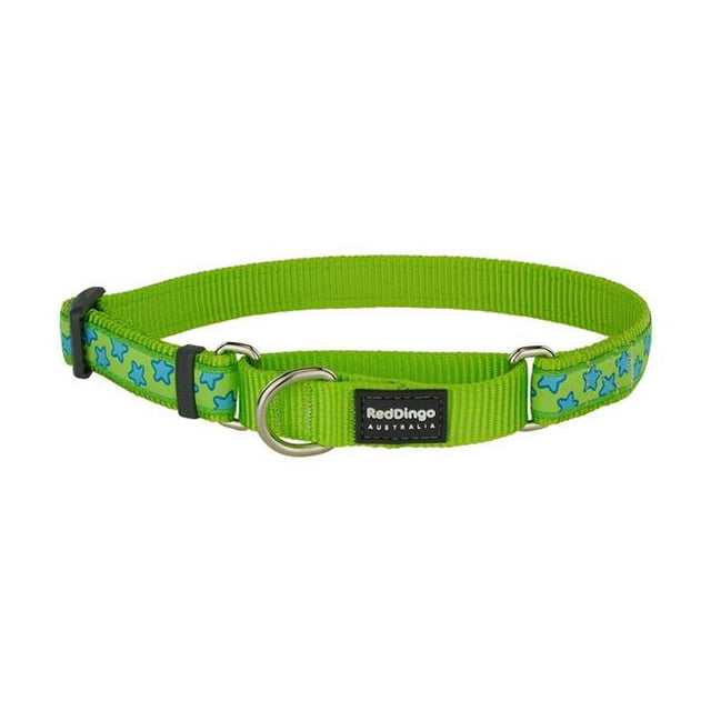 Red Dingo MC-ST-LG-20 Martingale Design Design Star Lime Green - Medium