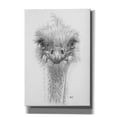 thumbnail image 1 of Epic Graffiti 'Ozzy' by Barbara Keith, Canvas Wall Art, 18"x26", 1 of 8
